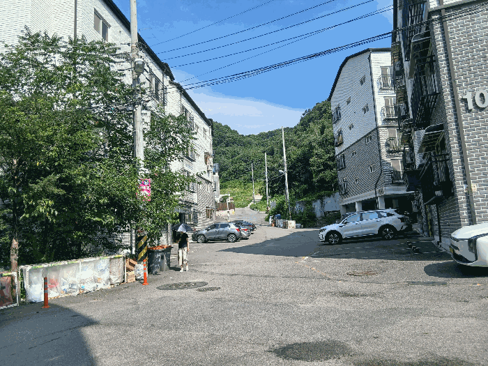 사진 7