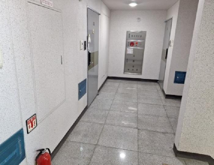 사진 3