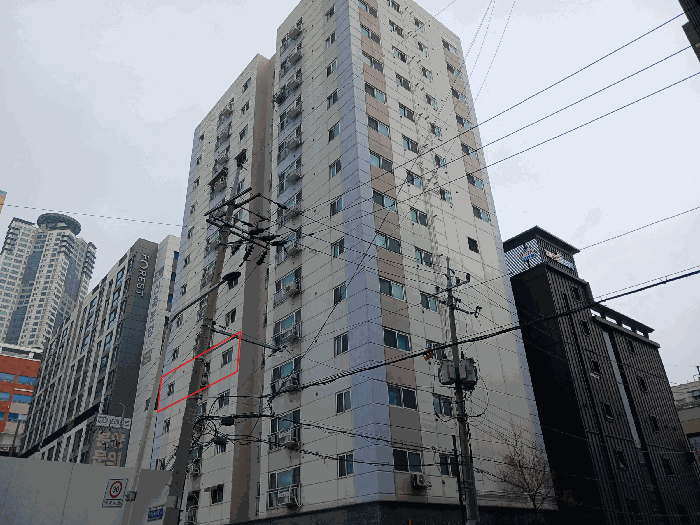 사진 5