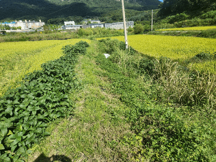 사진 8