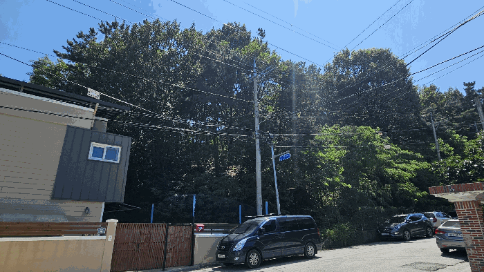 사진 1
