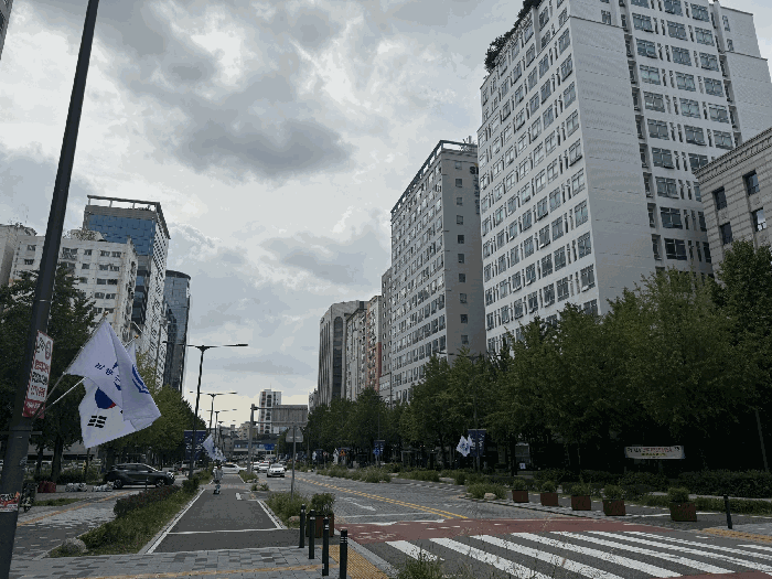 사진 12