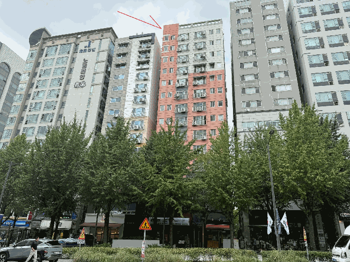 사진 9