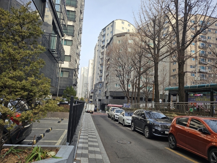 사진 10
