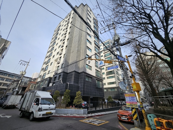 사진 11
