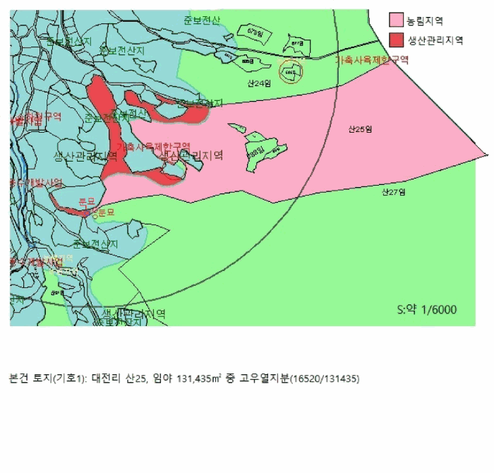 사진 9