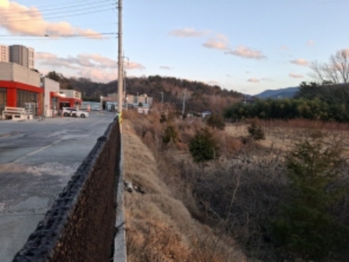 사진 11