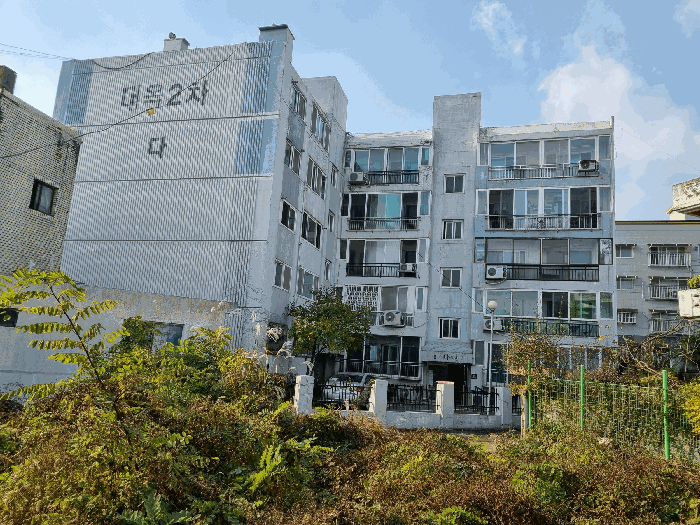 사진 10