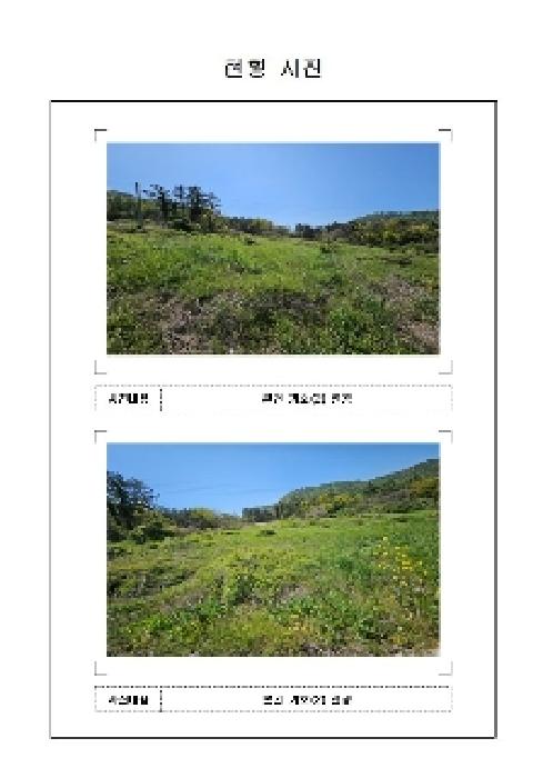 사진 15