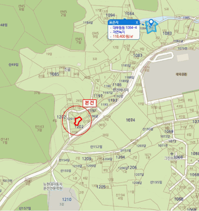 사진 10