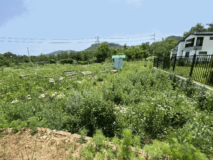 사진 11