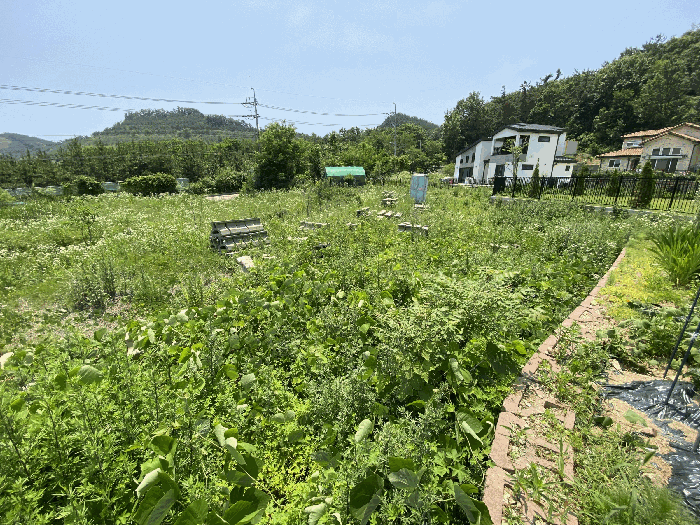 사진 12