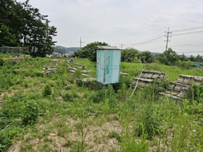 사진 3