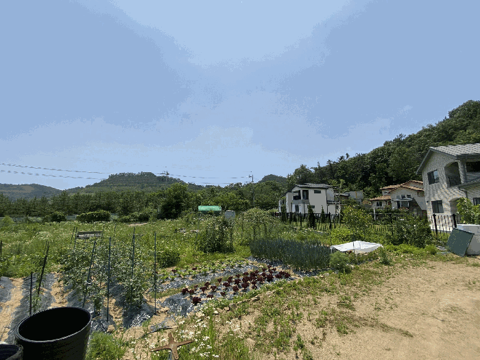 사진 6