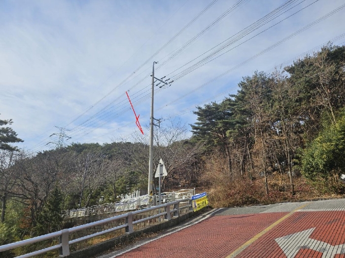 사진 1