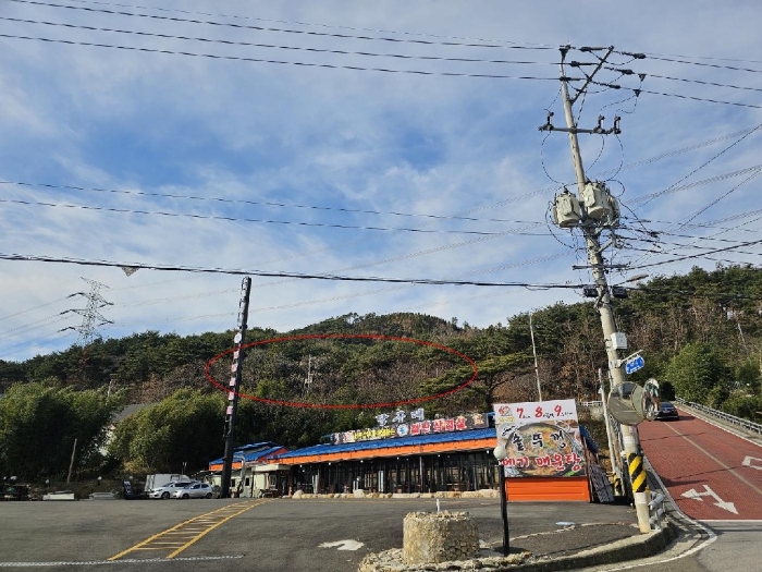 사진 2
