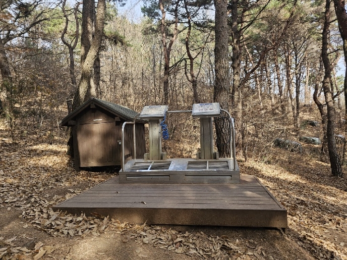 사진 5