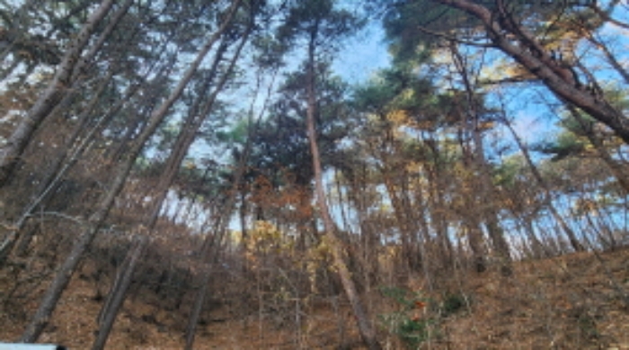 사진 8