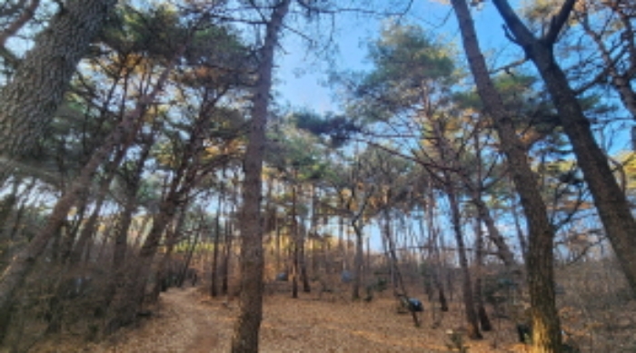 사진 9