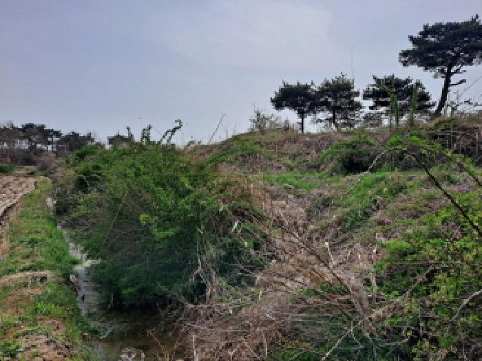 사진 25