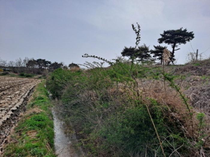 사진 30