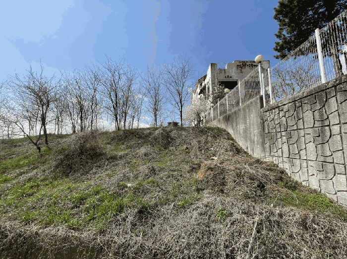 사진 54