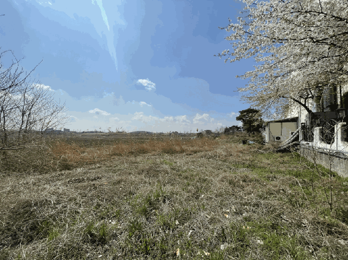사진 67