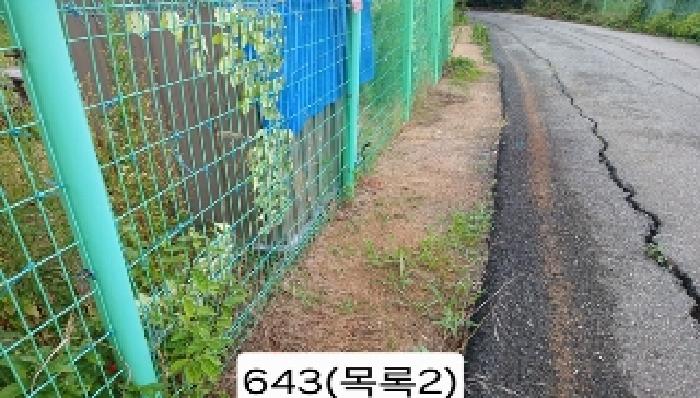 사진 2