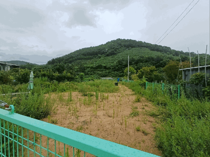 사진 11