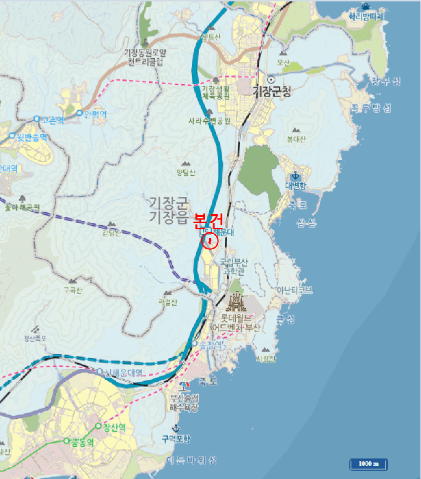 사진 12