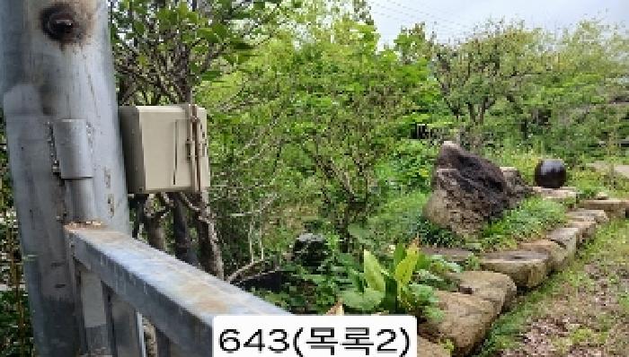 사진 3