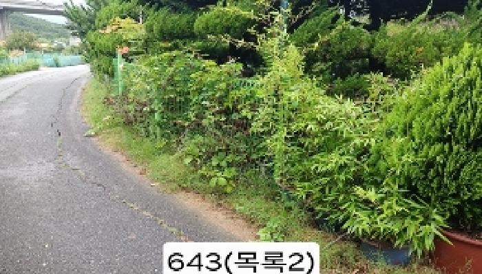 사진 4