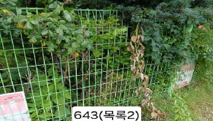 사진 5