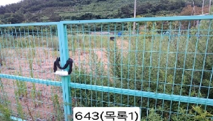 사진 6