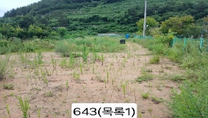 사진 7