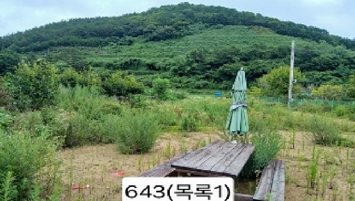 사진 8