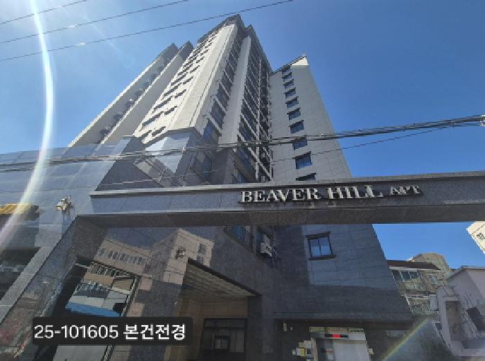 사진 2