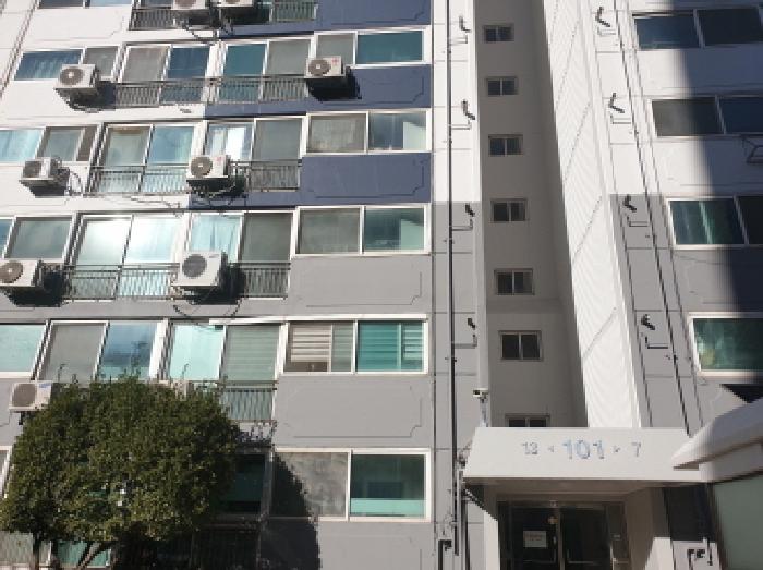 사진 12