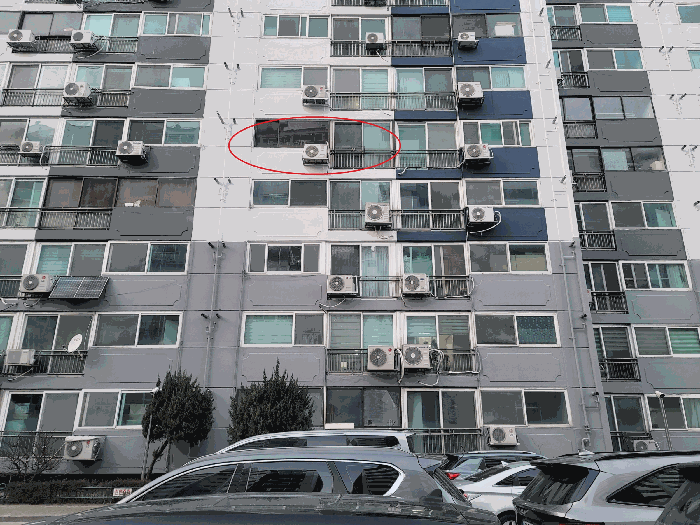 사진 5
