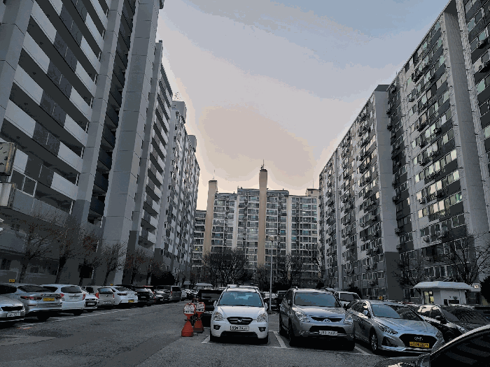 사진 7