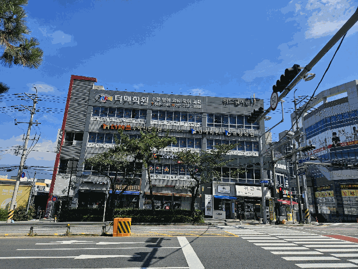사진 8