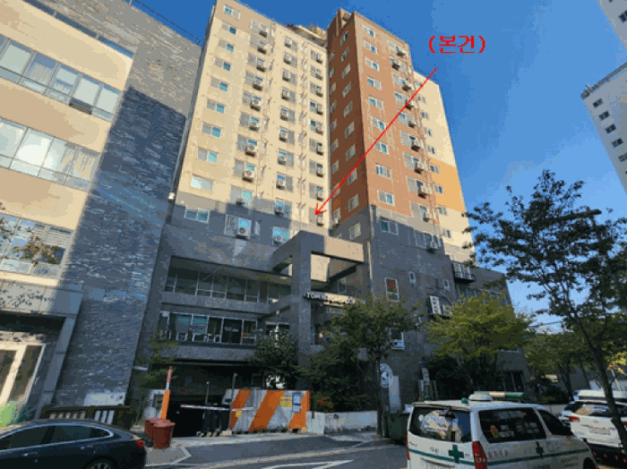 사진 11