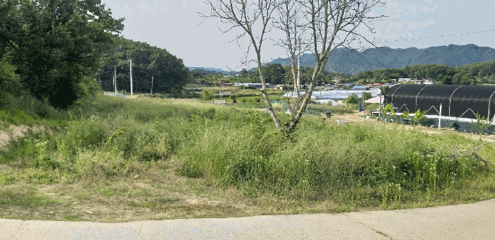 사진 1