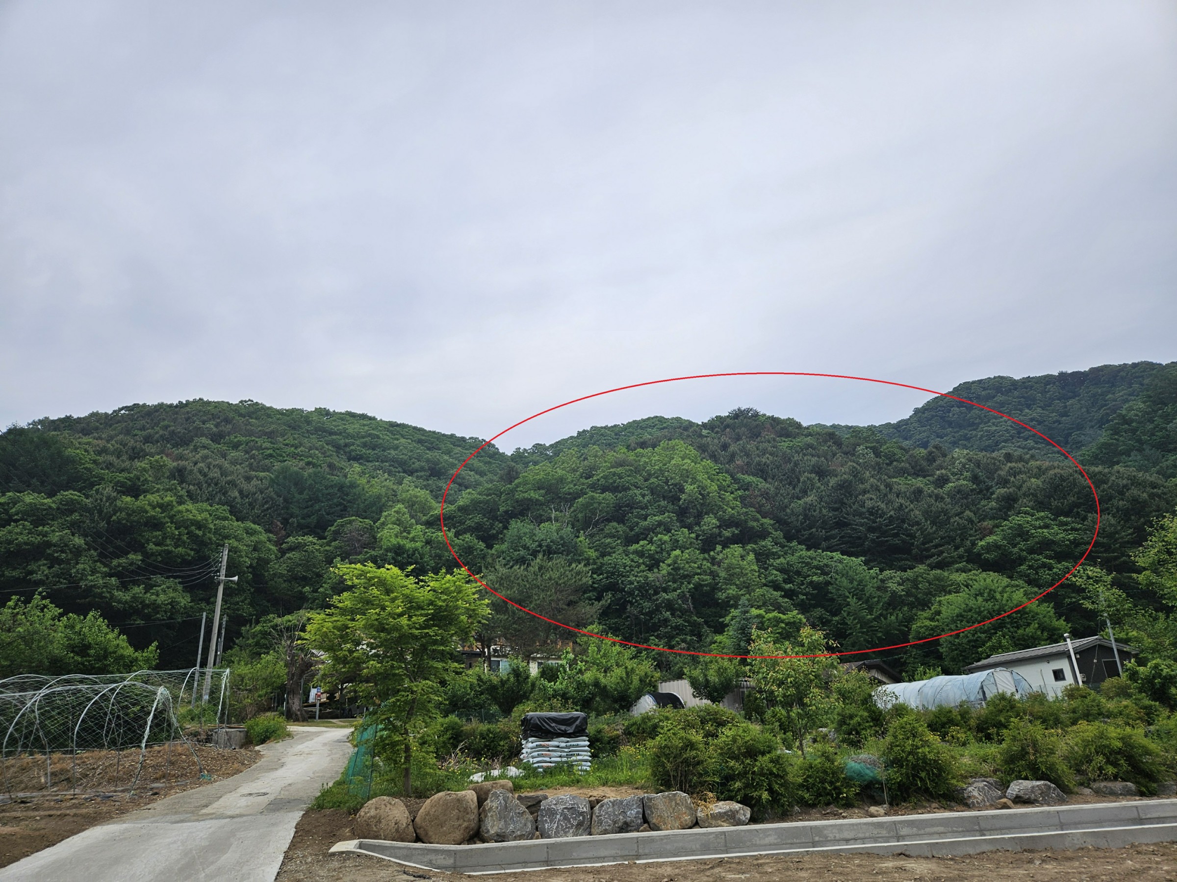 사진 1