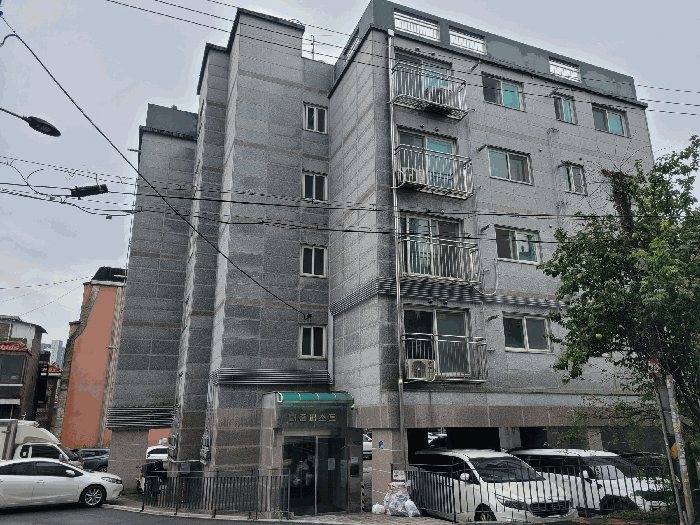 사진 12