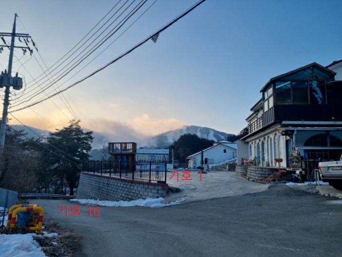 사진 11