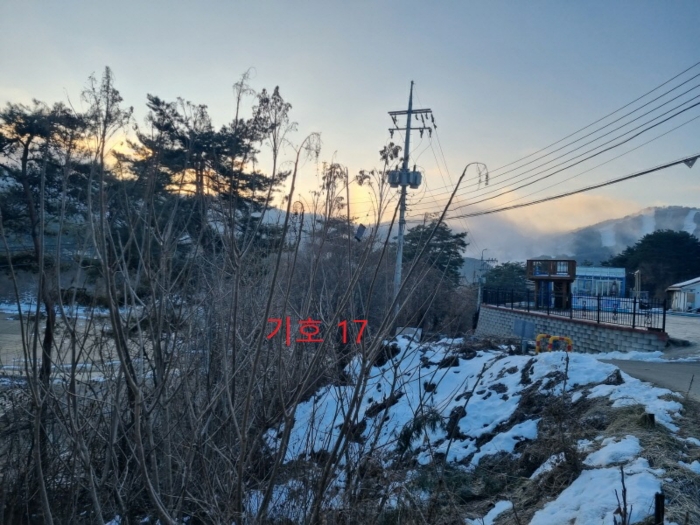 사진 14