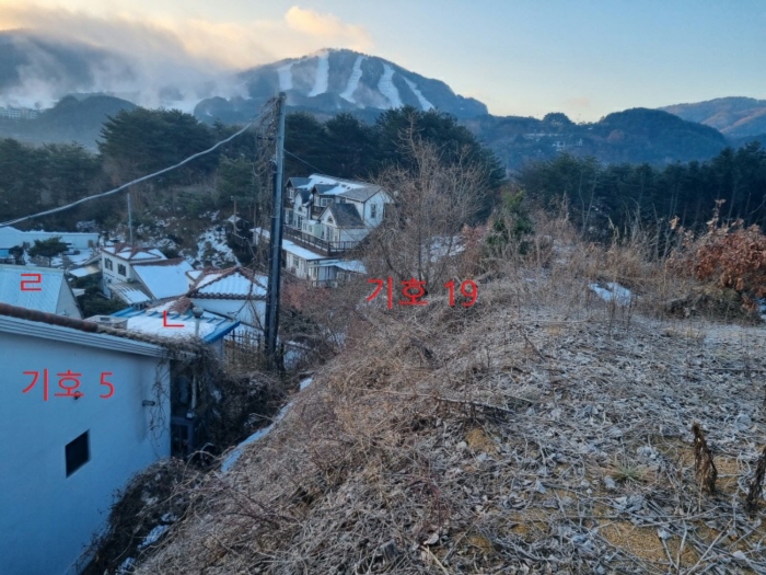 사진 19
