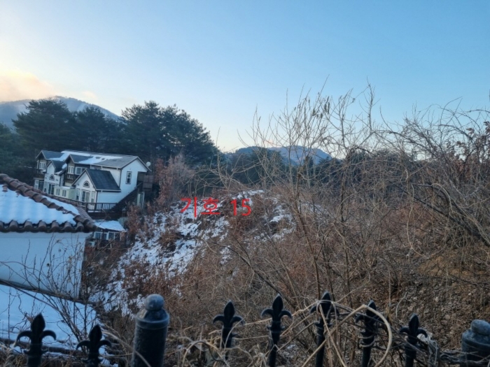 사진 23