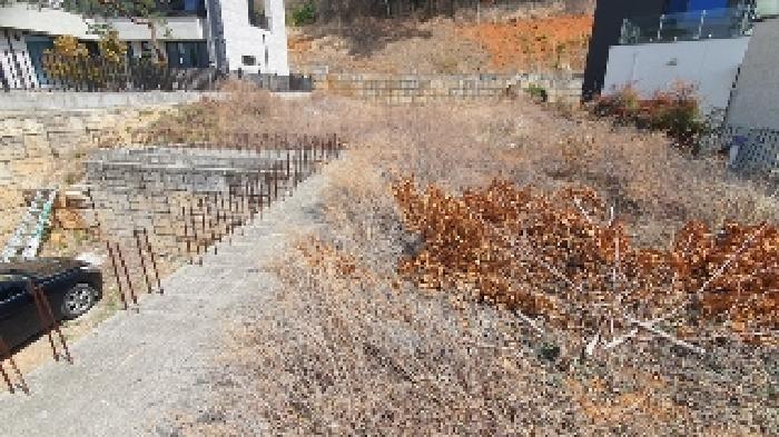 사진 5